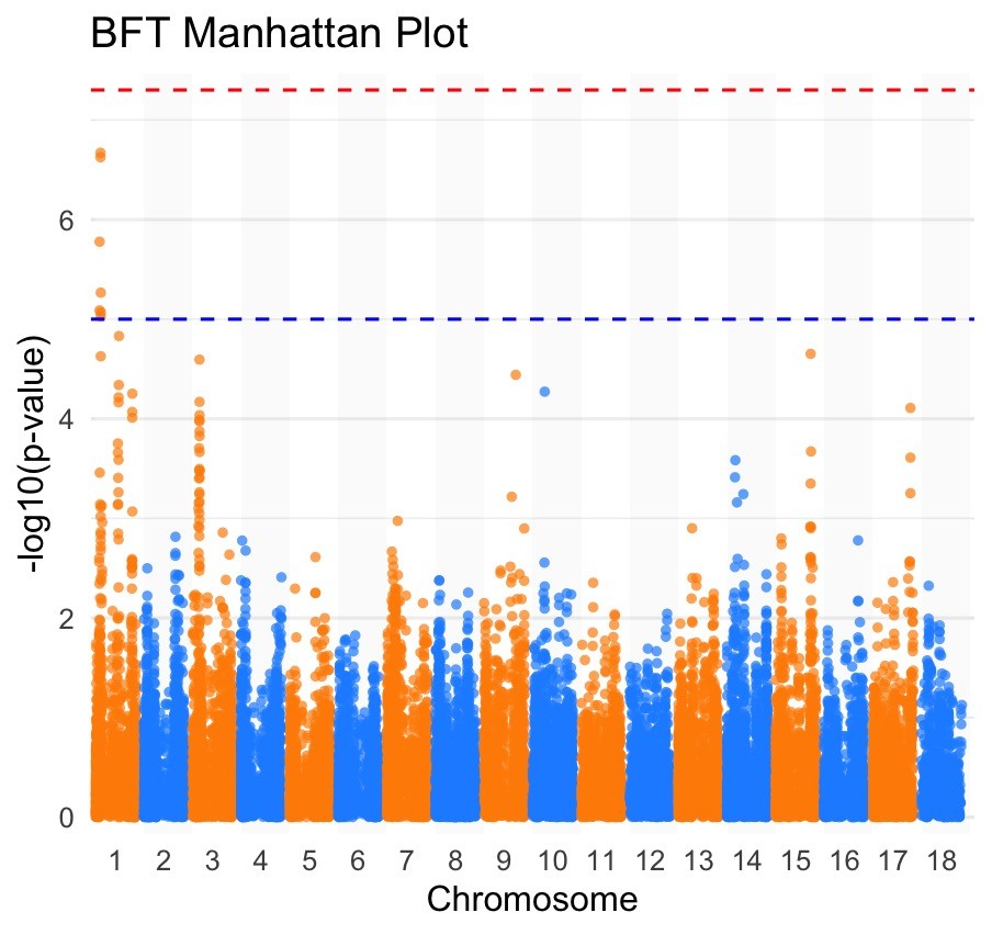 bft-manhattan.jpg